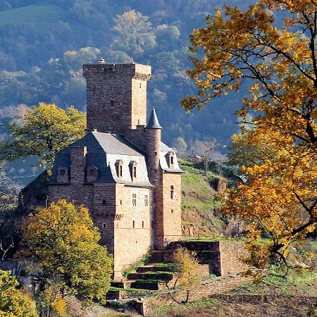 Chateau La Servayrie - Chambre D'Hotes Marcillac-Vallon Exterior photo