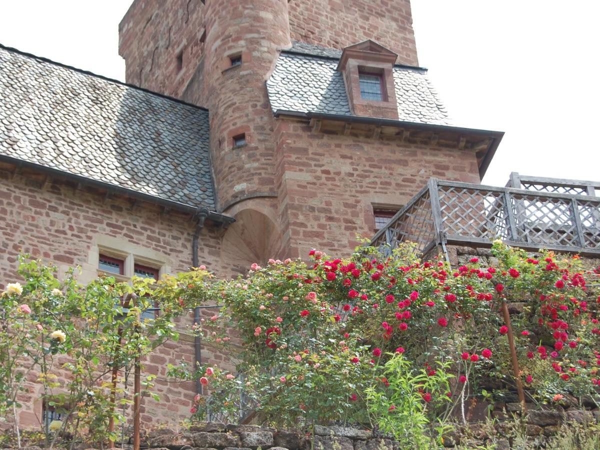 Chateau La Servayrie - Chambre D'Hotes Marcillac-Vallon Exterior photo