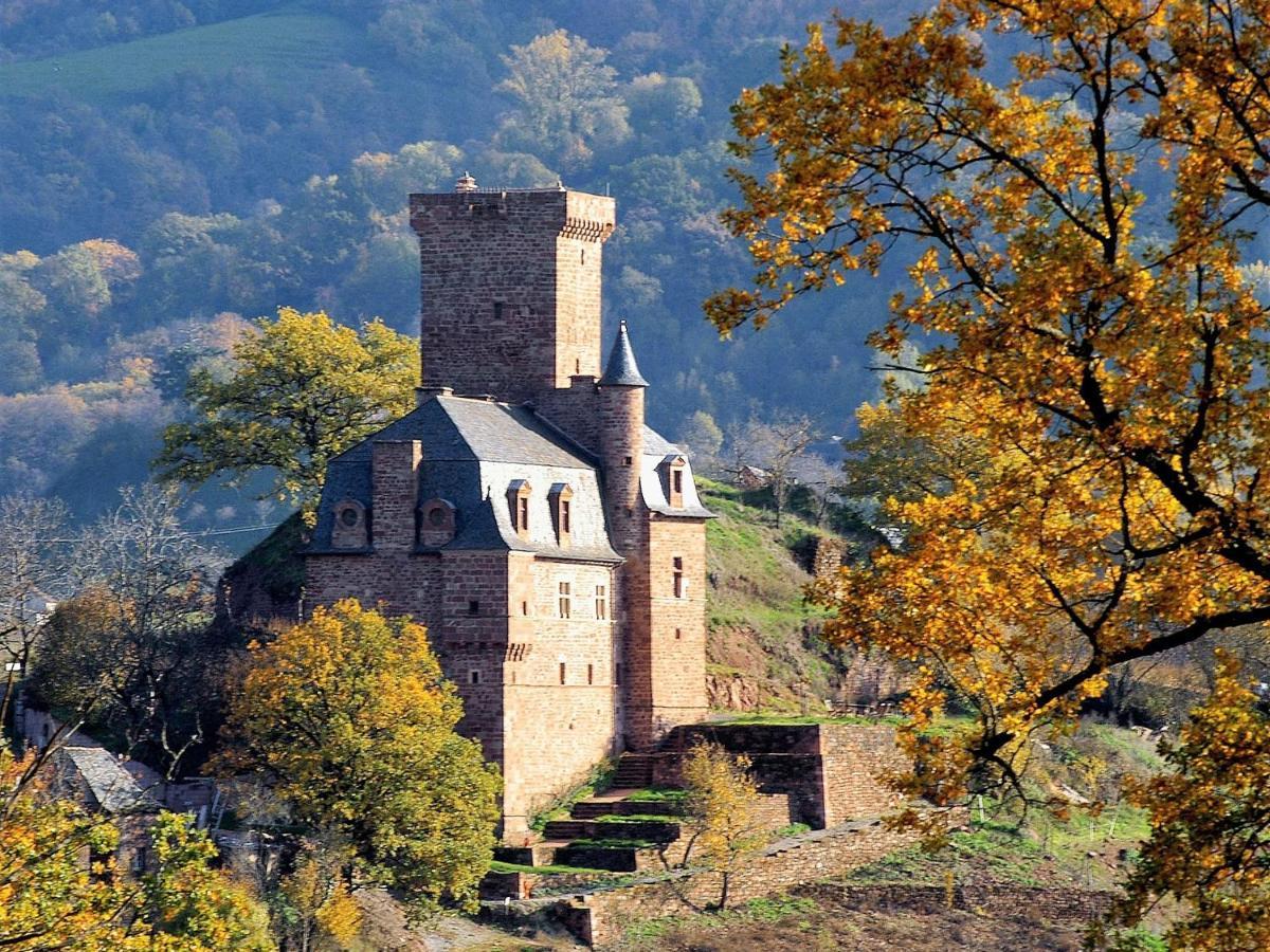 Chateau La Servayrie - Chambre D'Hotes Marcillac-Vallon Exterior photo